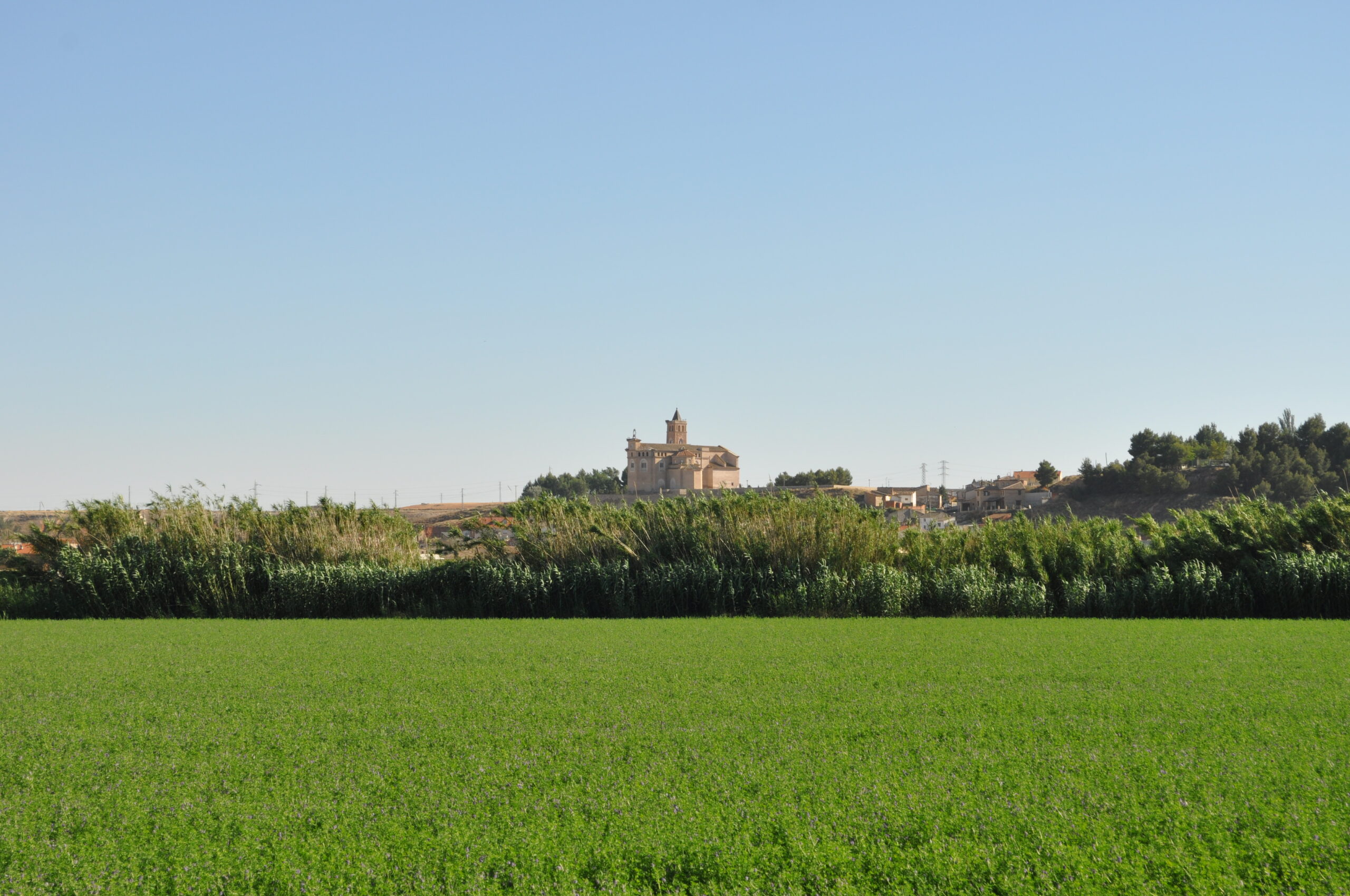 Quinto 085